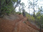 VIAJE TENERIFE 1 DE&.jpg