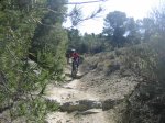 IMG_0703..jpg