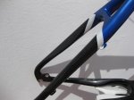 storck2..jpg