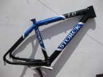 storck1..jpg