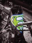 08_headbadge..jpg