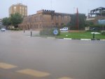IMGP0099..jpg