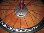 OVC_Tune_tras_691&#103.jpg