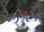 kona nieve 2..jpg