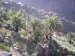 VIAJE TENERIFE 1 DE&.jpg