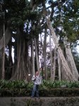 VIAJE TENERIFE 1 DE&.jpg
