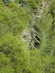 VIAJE TENERIFE 1 DE&.jpg