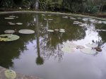 VIAJE TENERIFE 1 DE&.jpg
