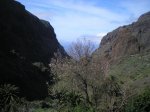 VIAJE TENERIFE 1 DE&.jpg