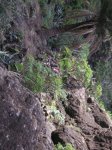 VIAJE TENERIFE 1 DE&.jpg