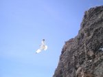VIAJE TENERIFE 1 DE&.jpg