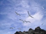 VIAJE TENERIFE 1 DE&.jpg