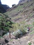 VIAJE TENERIFE 1 DE&.jpg