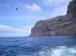 VIAJE TENERIFE 1 DE&.jpg