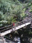 VIAJE TENERIFE 1 DE&.jpg