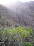 VIAJE TENERIFE 1 DE&.jpg