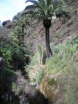 VIAJE TENERIFE 1 DE&.jpg