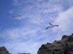 VIAJE TENERIFE 1 DE&.jpg