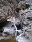 VIAJE TENERIFE 1 DE&.jpg