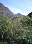 VIAJE TENERIFE 1 DE&.jpg
