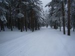 P1020937 (Large)..JPG