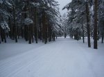 P1020937..JPG