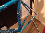 hed y cannondale .jpg