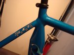 hed y cannondale .jpg