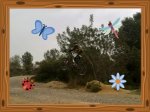 Fede bike..jpg