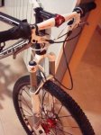 bici..jpg