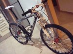 bici2..jpg