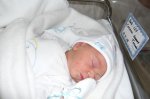 P1000735..JPG