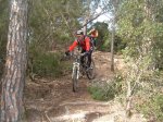 vallforners 075..jpg