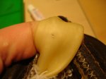 DSC04121.JPG