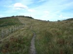 DSC03913.JPG