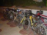 DSC01397 (Medium).JPG