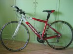 Giant 018.jpg