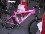 festibike 4.JPG