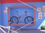 festibike 7.JPG