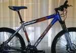 cuadro orbea.jpg