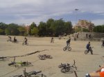 DSC08385.JPG
