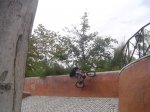 DSC08402.JPG