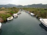 DSCN8319.jpg