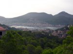 DSCN8321.jpg