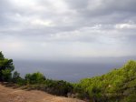DSCN8322.jpg