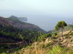 DSCN8330.jpg