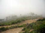 DSCN8375.jpg