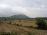 DSCN8387.jpg