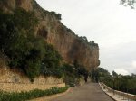 DSCN8390.jpg