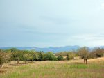 DSCN8395.jpg